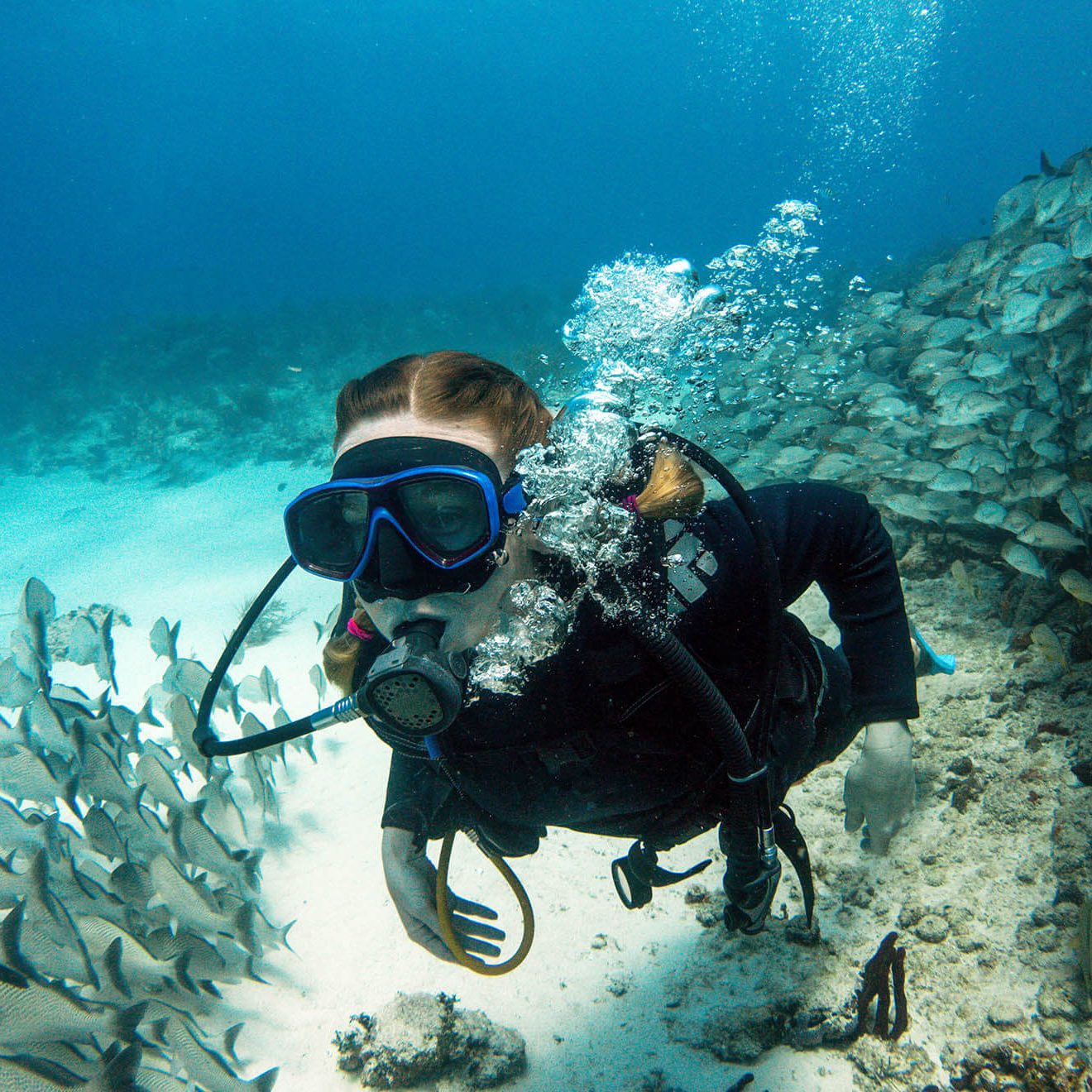 Pumula Beach Hotel - KwaZulu-Natal South Coast - South Africa - Diving at Aliwal