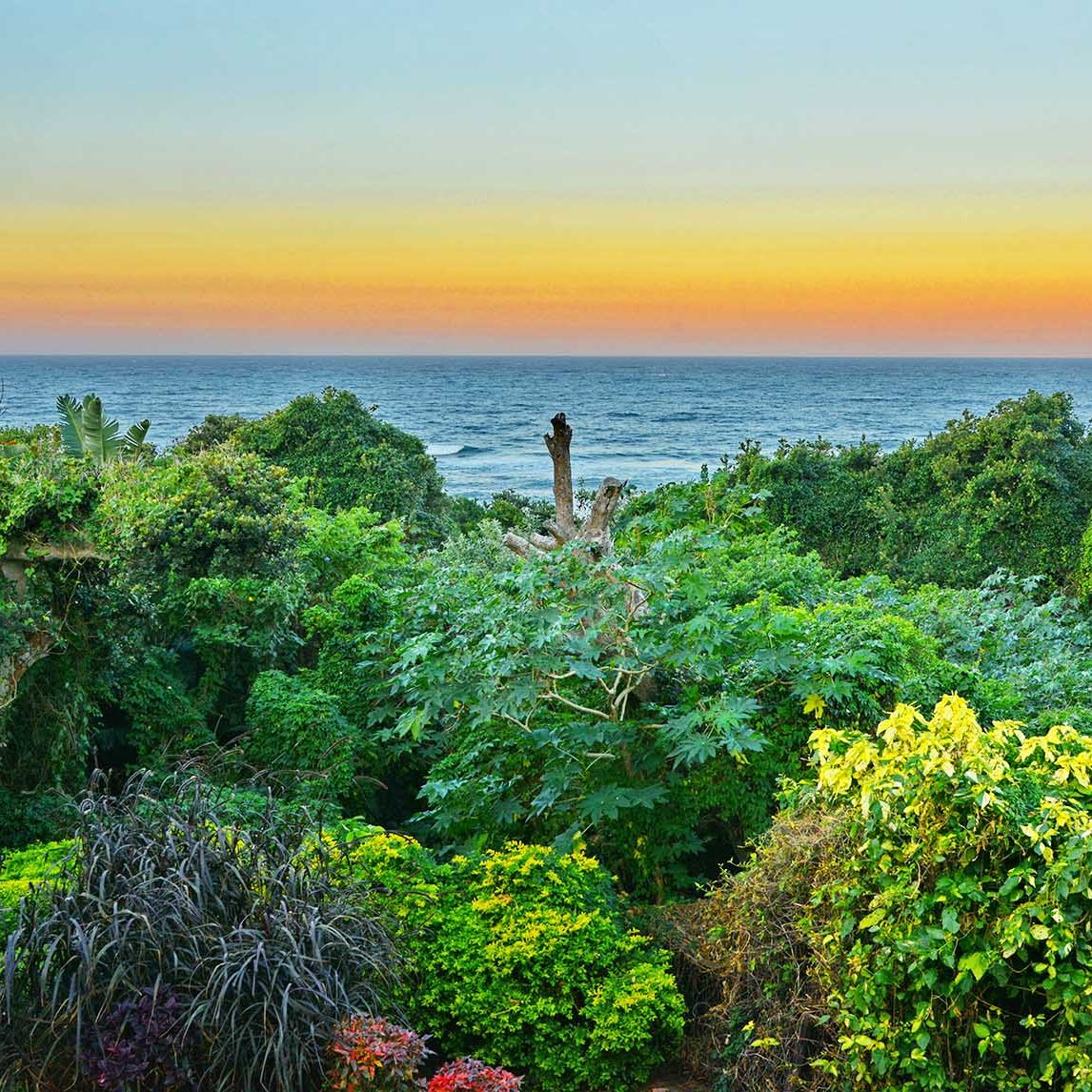 Pumula Beach Hotel Umzumbe KZN Scenic